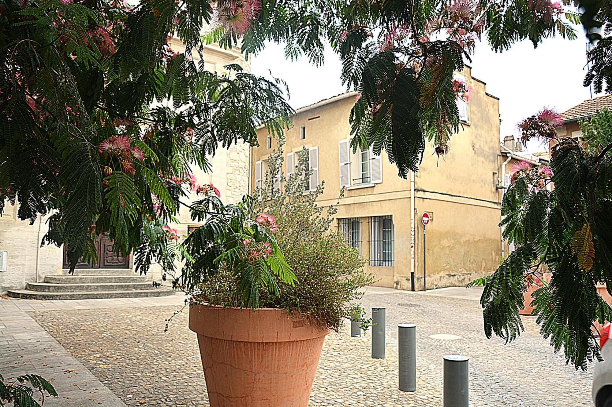 Maison Rascas - Centre Historique - Air Conditioning- Wifi Avignon Extérieur photo